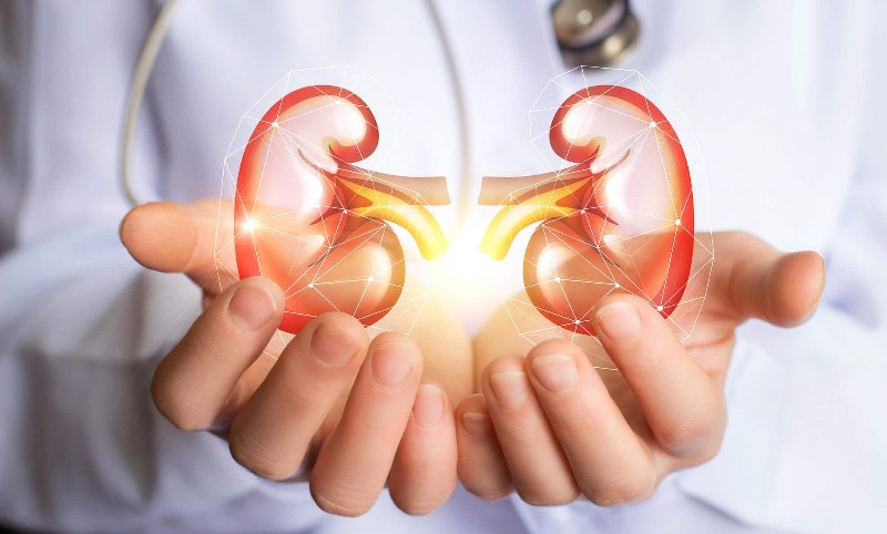 All About Kidney Disease Issue Symptoms-Stages-Treatment-Foods